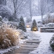 Ogród całoroczny – jak zaplanować przestrzeń, która nie traci atrakcyjności zimą